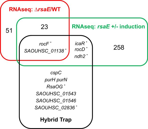 https://cdn.ncbi.nlm.nih.gov/pmc/blobs/5990/6158497/1a80c8ebbcc5/gky584fig3.jpg