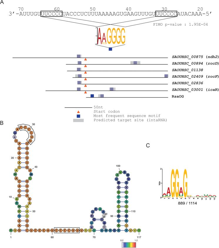 https://cdn.ncbi.nlm.nih.gov/pmc/blobs/5990/6158497/3f1085597314/gky584fig2.jpg