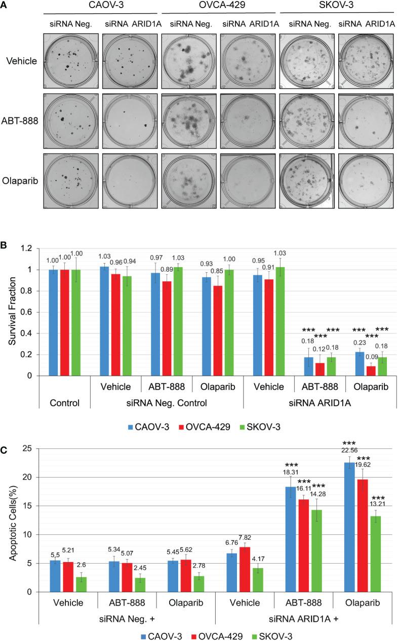 https://cdn.ncbi.nlm.nih.gov/pmc/blobs/5995/9992988/eafc34c90a78/fonc-13-1124147-g005.jpg
