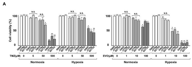 https://cdn.ncbi.nlm.nih.gov/pmc/blobs/599c/10705110/a024f891777a/cancers-15-05537-g003a.jpg