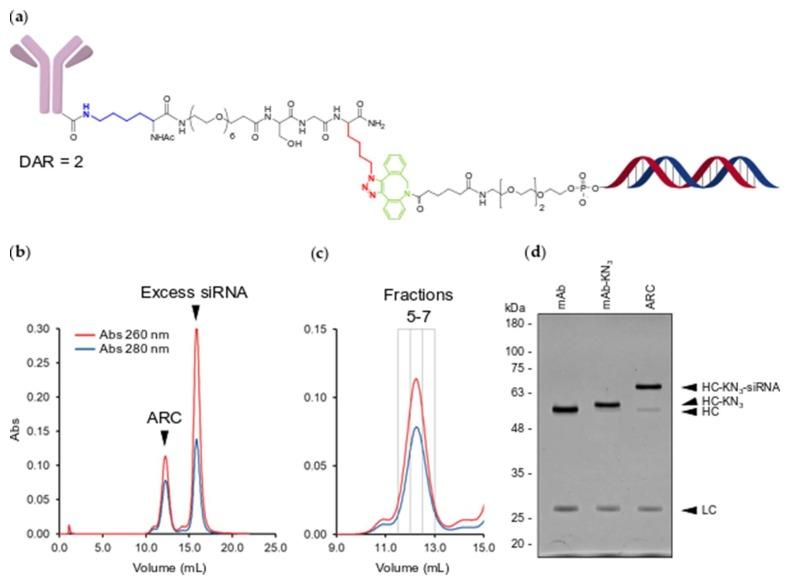 https://cdn.ncbi.nlm.nih.gov/pmc/blobs/59a2/6767100/0a07af717bfd/molecules-24-03287-g003.jpg