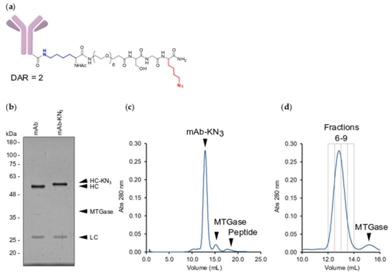 https://cdn.ncbi.nlm.nih.gov/pmc/blobs/59a2/6767100/eef6d0660132/molecules-24-03287-g002.jpg