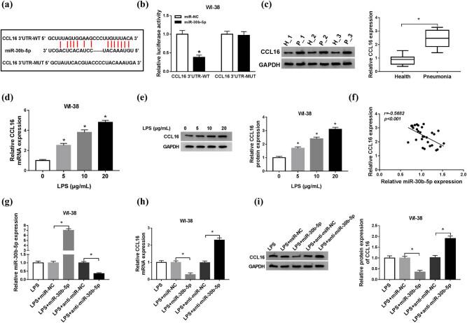 https://cdn.ncbi.nlm.nih.gov/pmc/blobs/59b2/7988359/46ec7c2b5a65/j_biol-2021-0005-fig005.jpg