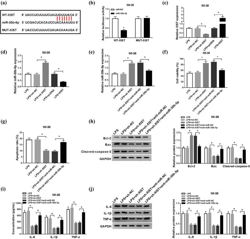 https://cdn.ncbi.nlm.nih.gov/pmc/blobs/59b2/7988359/4dbe10fb8401/j_biol-2021-0005-fig004.jpg
