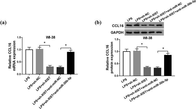 https://cdn.ncbi.nlm.nih.gov/pmc/blobs/59b2/7988359/c800dfb37b88/j_biol-2021-0005-fig007.jpg
