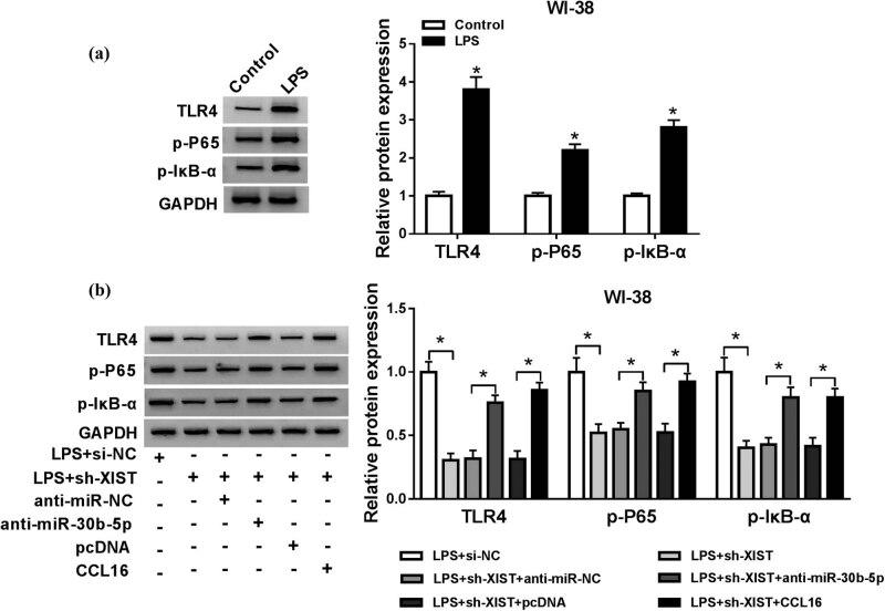 https://cdn.ncbi.nlm.nih.gov/pmc/blobs/59b2/7988359/d83a96e2790d/j_biol-2021-0005-fig008.jpg