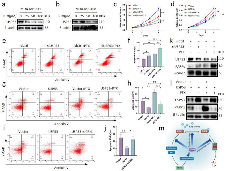 https://cdn.ncbi.nlm.nih.gov/pmc/blobs/59b6/10605207/768a4a7664b3/cancers-15-05033-g007.jpg