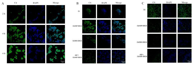 https://cdn.ncbi.nlm.nih.gov/pmc/blobs/59c2/10856552/472c532e1d8c/molecules-29-00731-g011.jpg