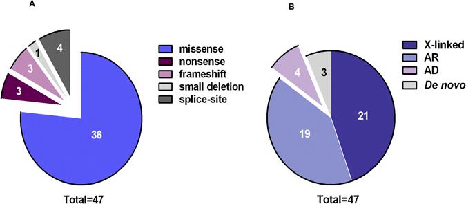 https://cdn.ncbi.nlm.nih.gov/pmc/blobs/59c6/5515956/f080932d9c7f/41598_2017_6033_Fig2_HTML.jpg