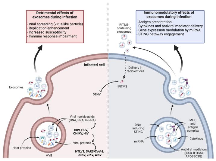 https://cdn.ncbi.nlm.nih.gov/pmc/blobs/59cb/10974137/ac6dfe0fbae1/vaccines-12-00280-g003.jpg