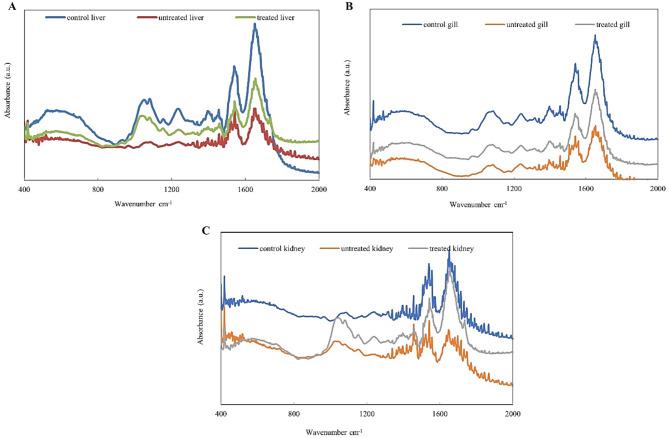 https://cdn.ncbi.nlm.nih.gov/pmc/blobs/59d3/12022160/c07bd48e65a1/41598_2025_98068_Fig7_HTML.jpg