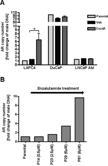 https://cdn.ncbi.nlm.nih.gov/pmc/blobs/59d6/5312348/2f3459b19a1d/oncotarget-07-59781-g006.jpg
