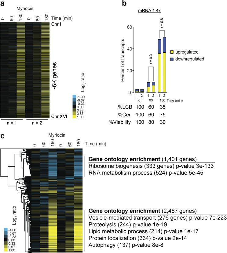 https://cdn.ncbi.nlm.nih.gov/pmc/blobs/59e8/12237252/da5e78d4d6a5/jcb_202407209_fig3.jpg