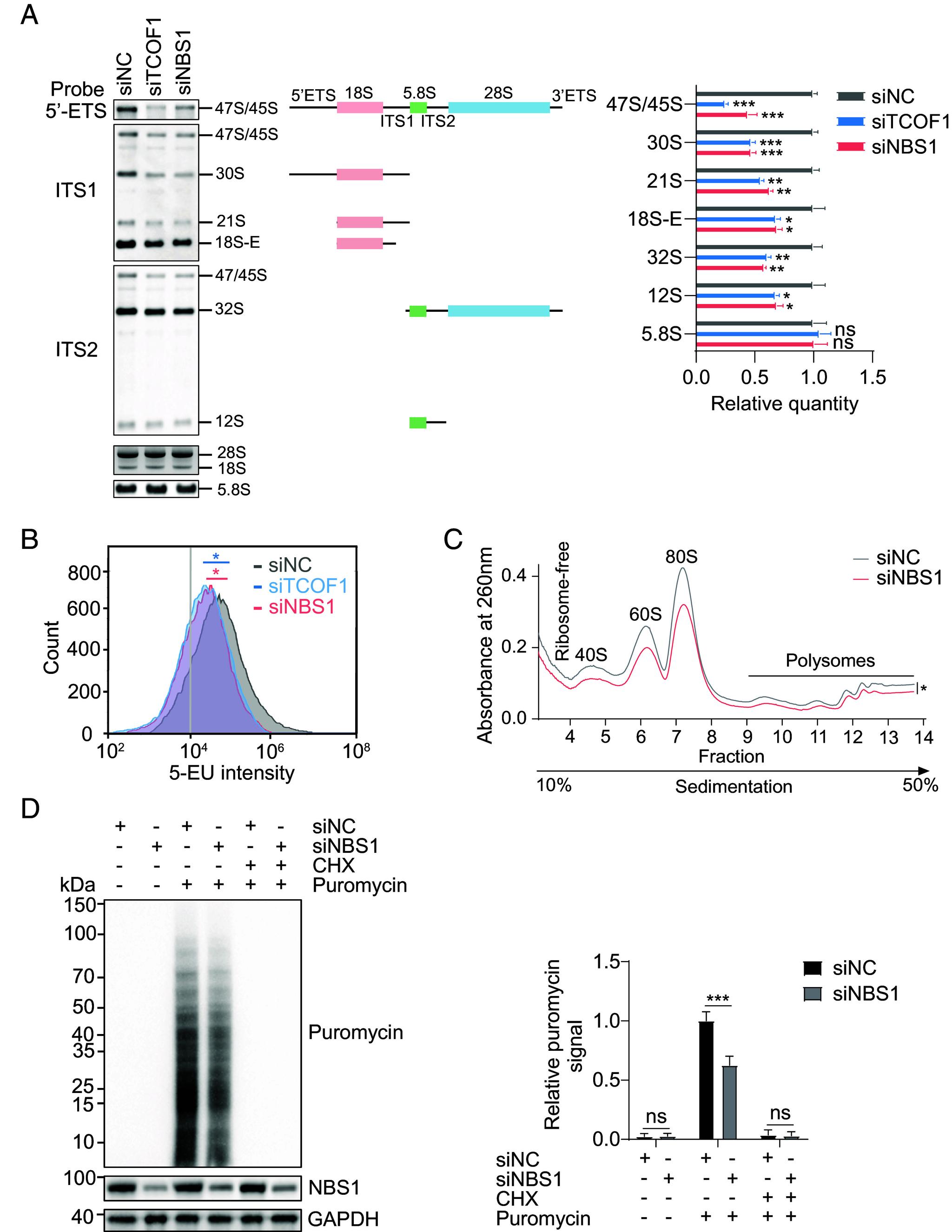 https://cdn.ncbi.nlm.nih.gov/pmc/blobs/59ea/11929472/652ca796e601/pnas.2422029122fig02.jpg