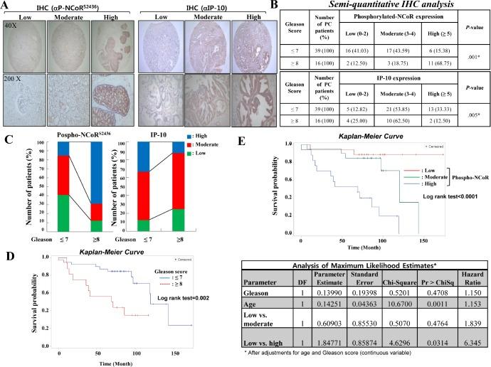 https://cdn.ncbi.nlm.nih.gov/pmc/blobs/59f1/3759675/1e4128967b02/oncotarget-04-972-g005.jpg