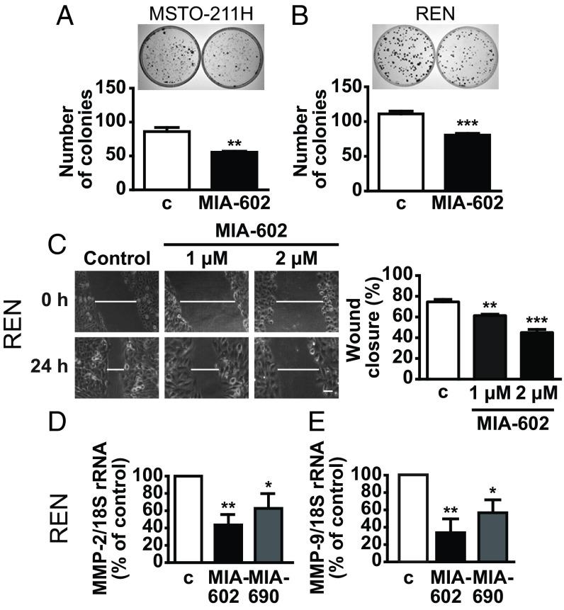 https://cdn.ncbi.nlm.nih.gov/pmc/blobs/59fd/6369772/65daab10ac95/pnas.1818865116fig03.jpg