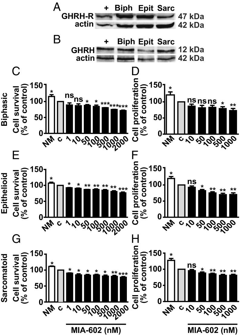 https://cdn.ncbi.nlm.nih.gov/pmc/blobs/59fd/6369772/9e3b0414627c/pnas.1818865116fig04.jpg