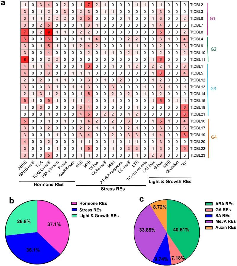 https://cdn.ncbi.nlm.nih.gov/pmc/blobs/59fe/12287492/5192b4359500/TPG2-18-e70062-g007.jpg