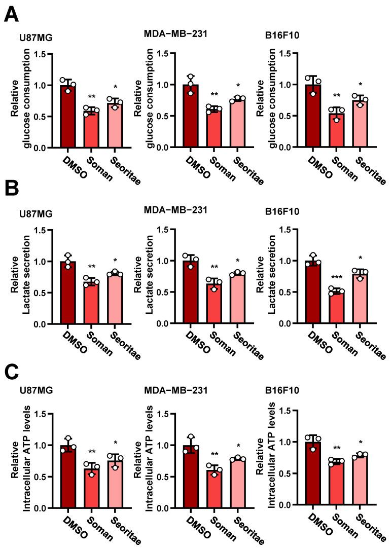 https://cdn.ncbi.nlm.nih.gov/pmc/blobs/5a0d/11852074/4ae4f910038b/antioxidants-14-00228-g002.jpg