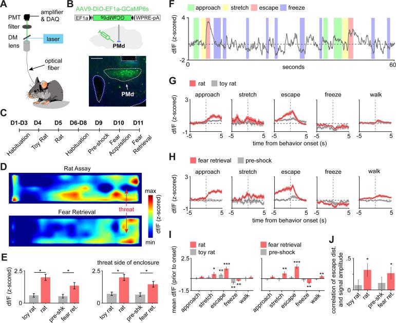 https://cdn.ncbi.nlm.nih.gov/pmc/blobs/5a42/8457830/4799aa142d7e/elife-69178-fig2.jpg
