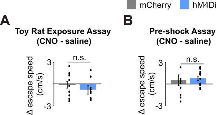 https://cdn.ncbi.nlm.nih.gov/pmc/blobs/5a42/8457830/a0ae3f066320/elife-69178-fig5-figsupp1.jpg