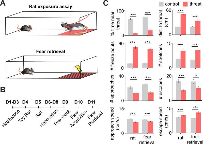 https://cdn.ncbi.nlm.nih.gov/pmc/blobs/5a42/8457830/a24e8e5d1ffa/elife-69178-fig1.jpg