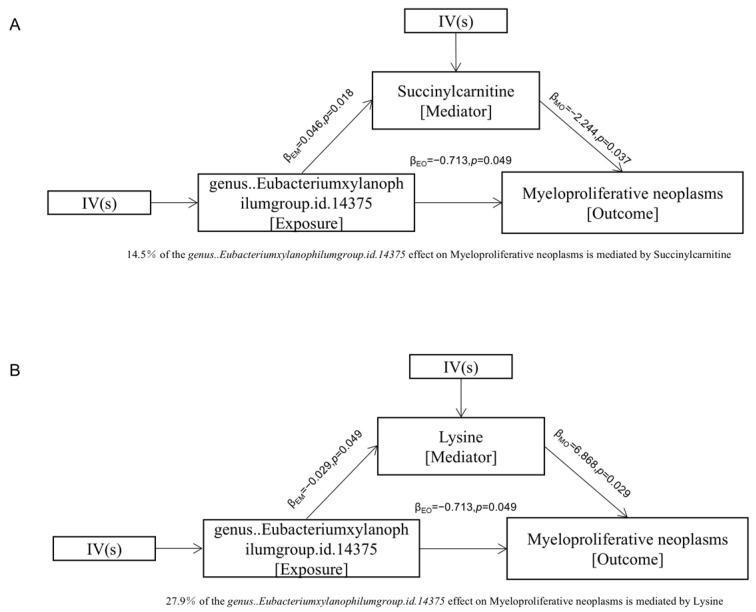 https://cdn.ncbi.nlm.nih.gov/pmc/blobs/5a49/12388087/0c55782146c9/metabolites-15-00501-g005.jpg