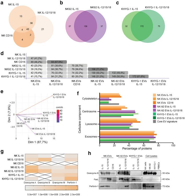 https://cdn.ncbi.nlm.nih.gov/pmc/blobs/5a4e/10991255/4653de635966/262_2022_3161_Fig4_HTML.jpg