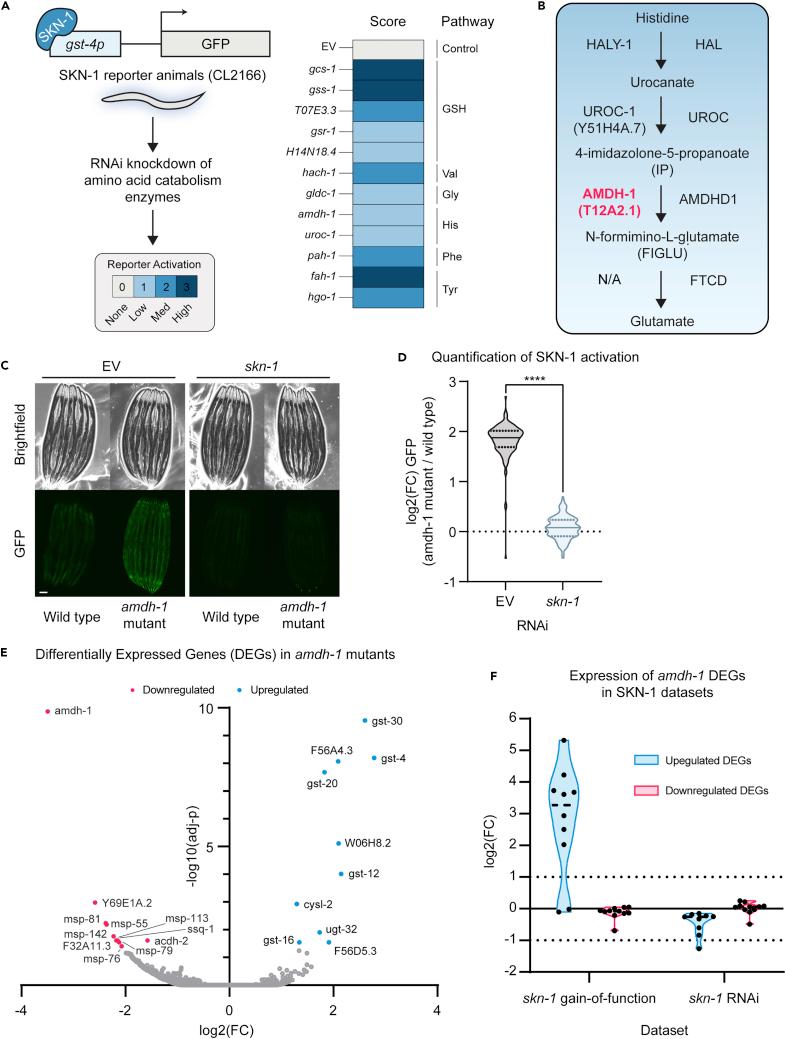 https://cdn.ncbi.nlm.nih.gov/pmc/blobs/5a57/9240870/d4f8ae580bb9/gr1.jpg