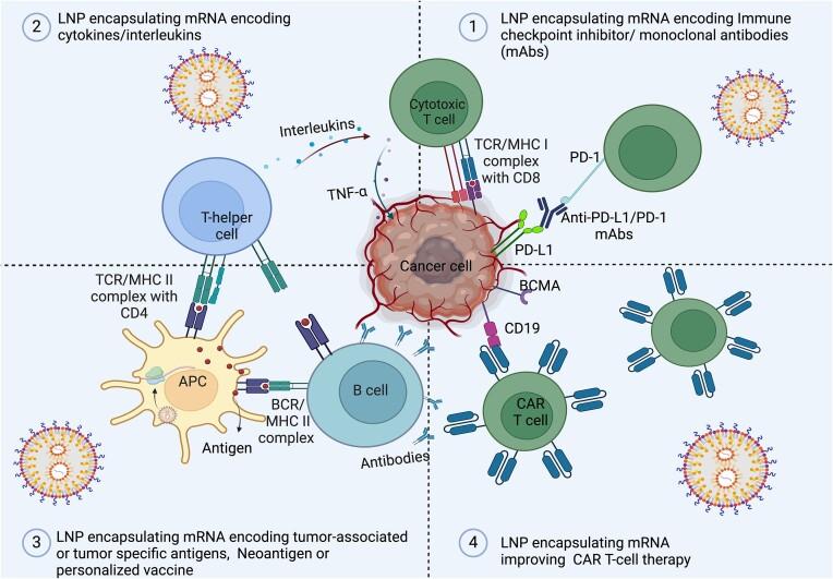 https://cdn.ncbi.nlm.nih.gov/pmc/blobs/5a5a/11336688/93968e45cc7e/pbae017fig2.jpg