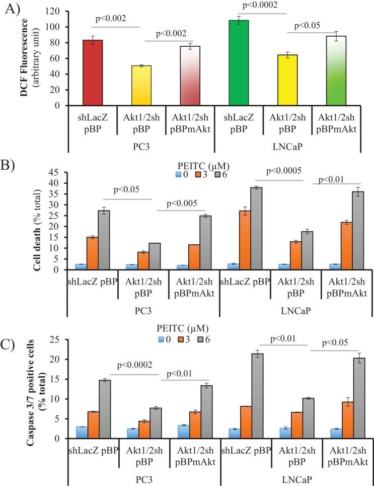 https://cdn.ncbi.nlm.nih.gov/pmc/blobs/5a5a/5980228/064f5369d3ac/elife-32213-fig2-figsupp11.jpg