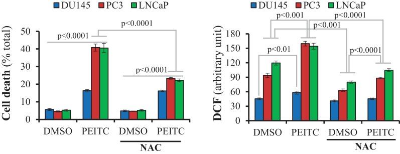 https://cdn.ncbi.nlm.nih.gov/pmc/blobs/5a5a/5980228/089a3ea90c28/elife-32213-fig2-figsupp6.jpg