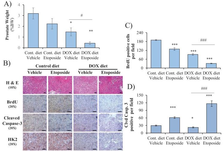 https://cdn.ncbi.nlm.nih.gov/pmc/blobs/5a5a/5980228/75fdb3196f66/elife-32213-fig5-figsupp7.jpg