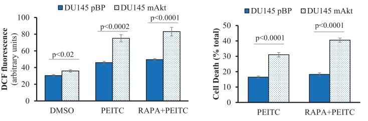 https://cdn.ncbi.nlm.nih.gov/pmc/blobs/5a5a/5980228/d06f56c339ce/elife-32213-fig2-figsupp10.jpg