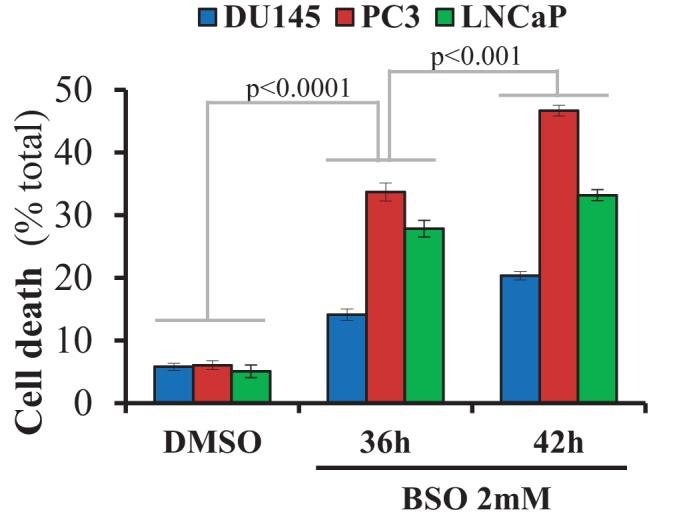 https://cdn.ncbi.nlm.nih.gov/pmc/blobs/5a5a/5980228/eceac496c017/elife-32213-fig2-figsupp3.jpg
