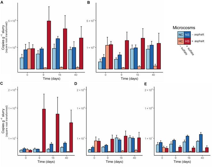 https://cdn.ncbi.nlm.nih.gov/pmc/blobs/5a62/7550536/55d2d9adb434/fmicb-11-556793-g002.jpg