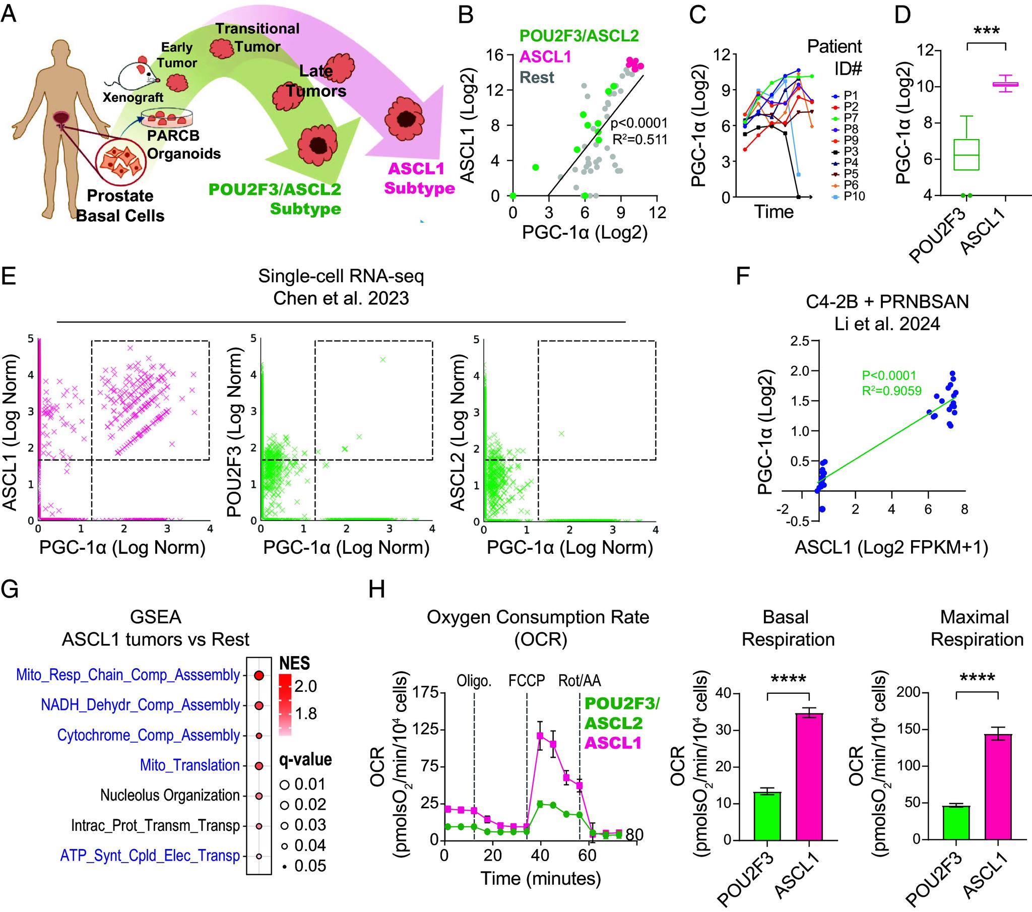 https://cdn.ncbi.nlm.nih.gov/pmc/blobs/5a6a/11626175/2691344a38a5/pnas.2416882121fig02.jpg