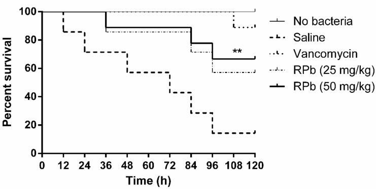 https://cdn.ncbi.nlm.nih.gov/pmc/blobs/5a79/6627226/19e58fdbec66/biomolecules-09-00249-g009.jpg