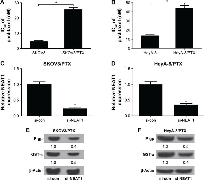 https://cdn.ncbi.nlm.nih.gov/pmc/blobs/5a85/5691924/657764dc27c1/ott-10-5377Fig2.jpg