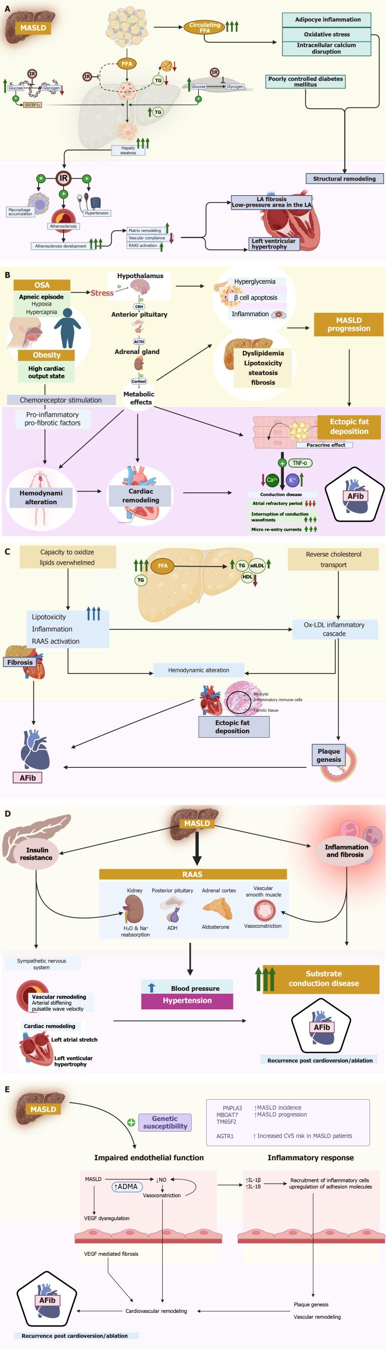 https://cdn.ncbi.nlm.nih.gov/pmc/blobs/5aae/12186170/2b53b394c913/wjc-17-6-106147-g001.jpg