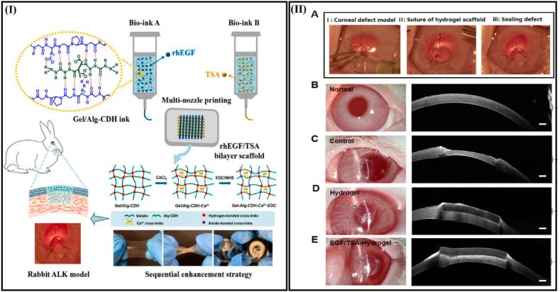 https://cdn.ncbi.nlm.nih.gov/pmc/blobs/5ac0/11783021/e0df19af9fff/gr4.jpg