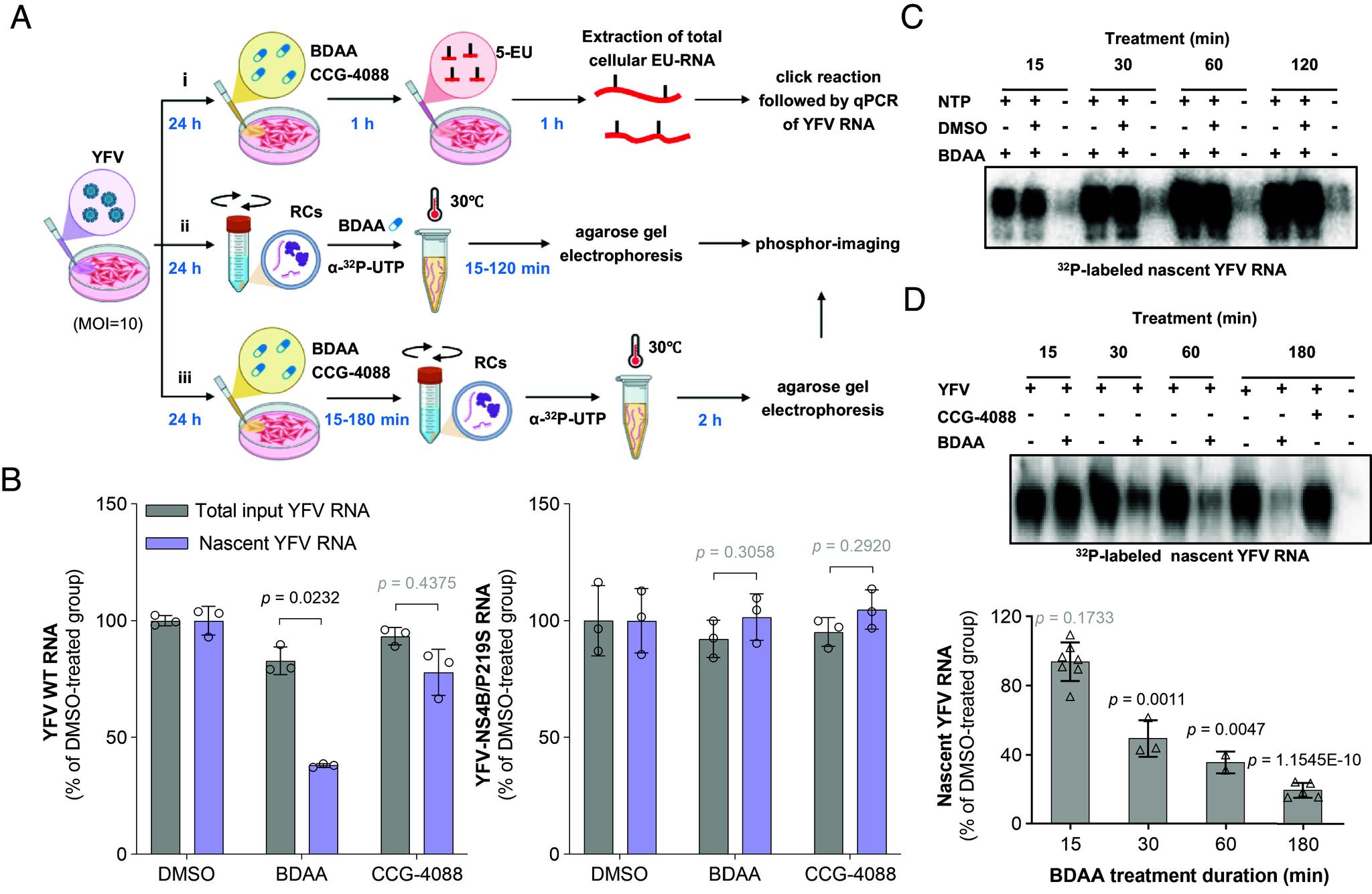 https://cdn.ncbi.nlm.nih.gov/pmc/blobs/5ade/12107144/933c9e71cf0c/pnas.2505498122fig02.jpg