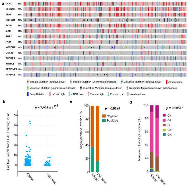 https://cdn.ncbi.nlm.nih.gov/pmc/blobs/5b0b/7827494/3b1bb166a5a0/cells-10-00094-g003.jpg