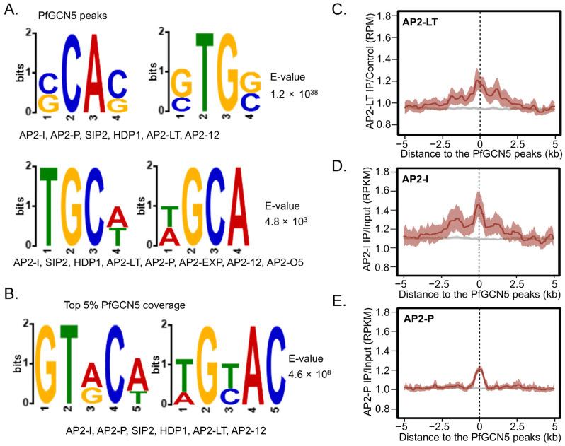 https://cdn.ncbi.nlm.nih.gov/pmc/blobs/5b31/12190302/257e4a67a252/cells-14-00876-g006.jpg