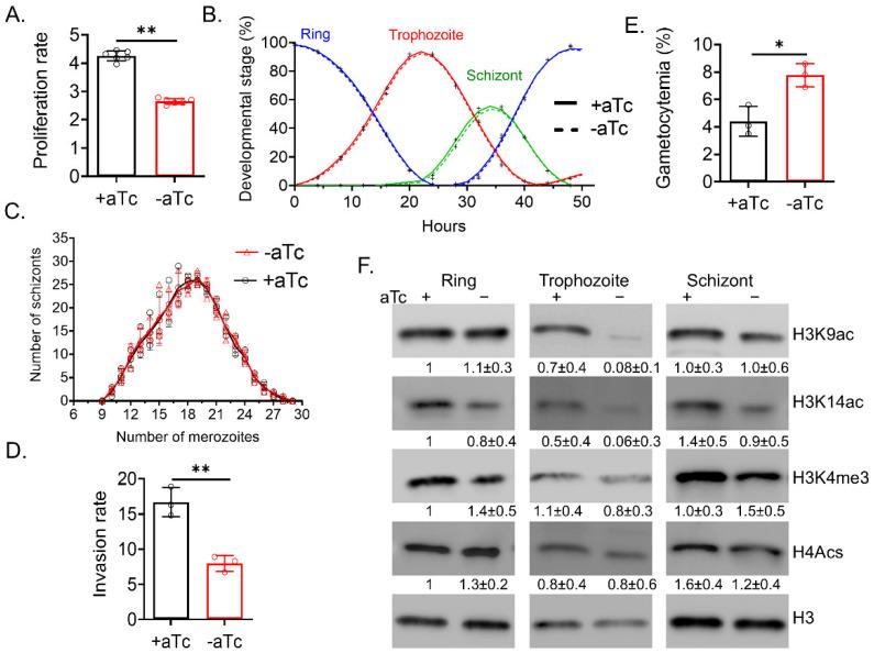 https://cdn.ncbi.nlm.nih.gov/pmc/blobs/5b31/12190302/9d97b26e1fe6/cells-14-00876-g001.jpg