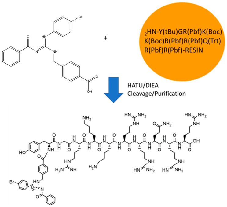 https://cdn.ncbi.nlm.nih.gov/pmc/blobs/5b3b/11768059/ea00a7601442/molecules-30-00264-g001.jpg
