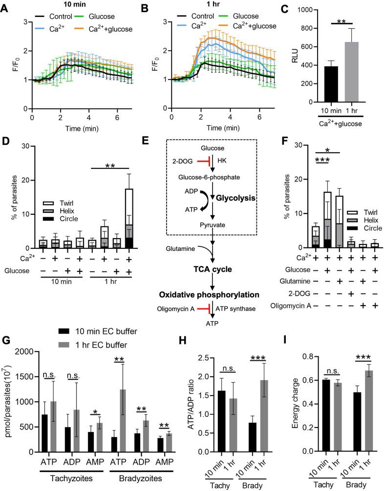 https://cdn.ncbi.nlm.nih.gov/pmc/blobs/5b46/8683080/0454aa732894/elife-73011-fig8.jpg