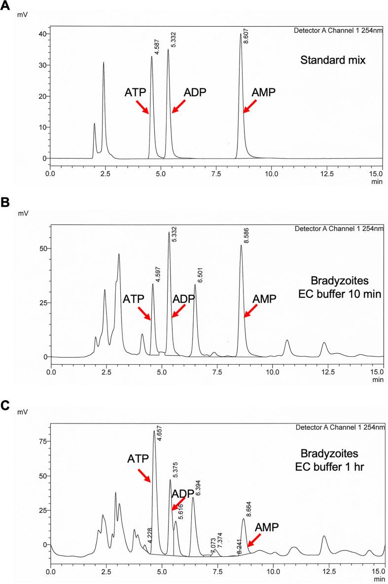 https://cdn.ncbi.nlm.nih.gov/pmc/blobs/5b46/8683080/8fb79b9fdf18/elife-73011-fig8-figsupp1.jpg