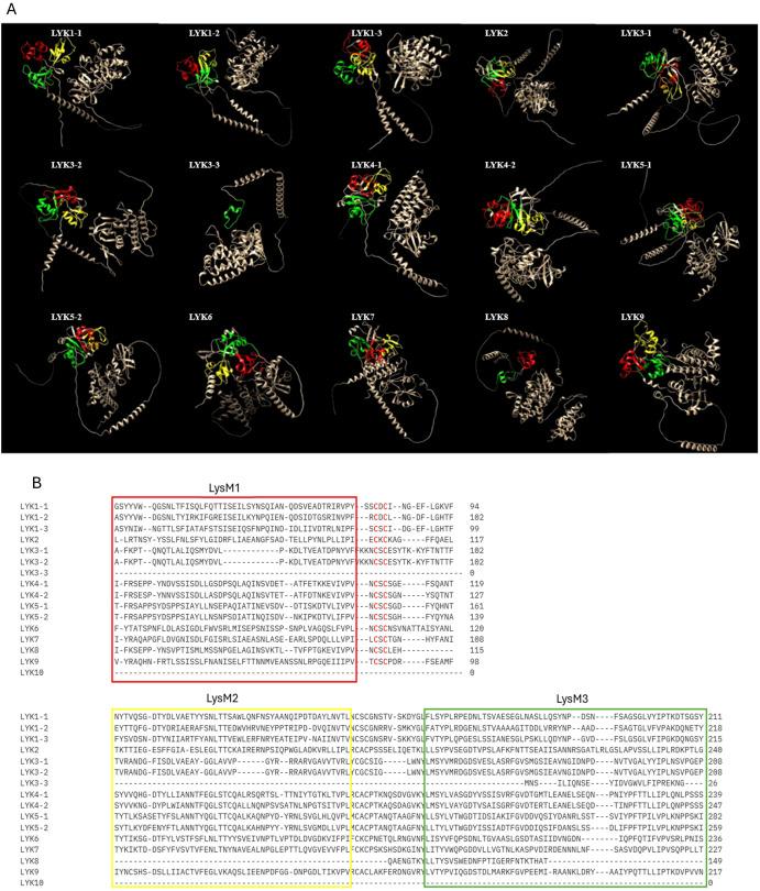 https://cdn.ncbi.nlm.nih.gov/pmc/blobs/5b4a/11695348/7c0e92128885/fpls-15-1515163-g002.jpg