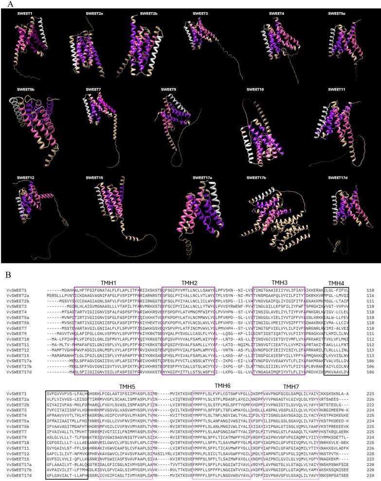 https://cdn.ncbi.nlm.nih.gov/pmc/blobs/5b4a/11695348/a99af70bfb27/fpls-15-1515163-g004.jpg